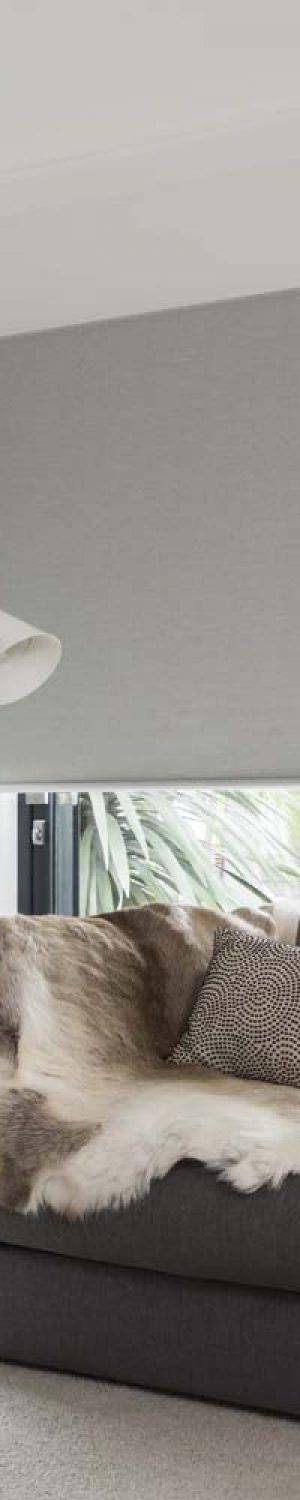 Mercury II Room (NEW) web ready Blinds